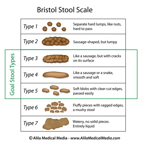 Bowel Movement Consistency Chart